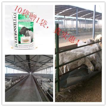 【5%肉羊复合预混料】5352,价格,厂家,图片,供应商,保健食品,郑州六品农牧科技 - 产品库 - 阿土伯交易网